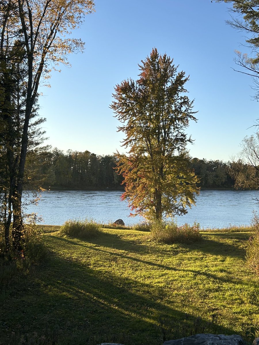 Karen Logan tweet media