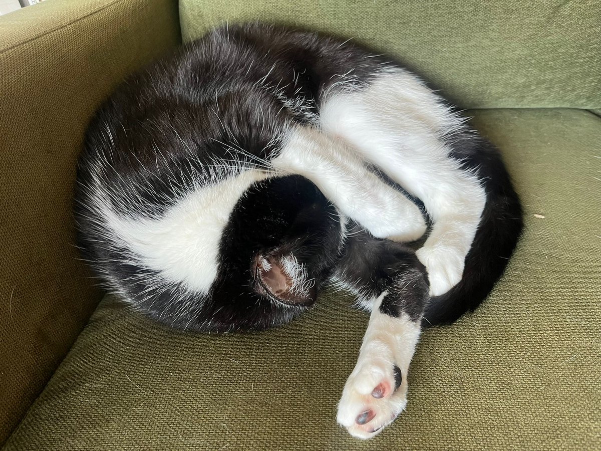 We've received some amazing proposals, with exciting connections, but we're hoping for as expansive a discussion as possible, so would love to add more!  How does development shape literature? What happens when literary scholars dip a toe in economic waters? Is it all a spiral?