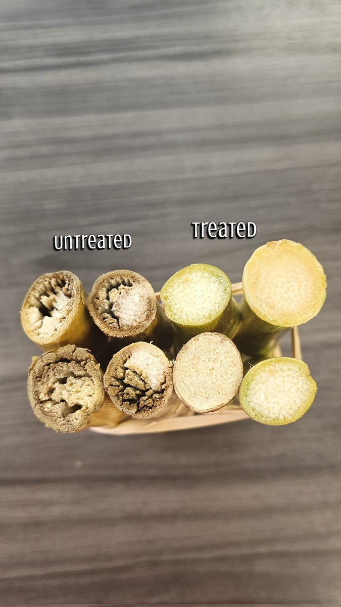 WadeEischens's tweet photo. Well, the results are in. 
The side treated with Miravis truly shows healthier and greener plants  
Protect your investments!

Treated:
Yield 231.6 bpa
Test Weight 58 lbs
Moisture 15%

Untreated:
Yield 208.8 bpa
Test Weight 56 lbs
Moisture 13.9%
#CleanerandGreener, #MiravisNeo https://t.co/tz7dljEGLC