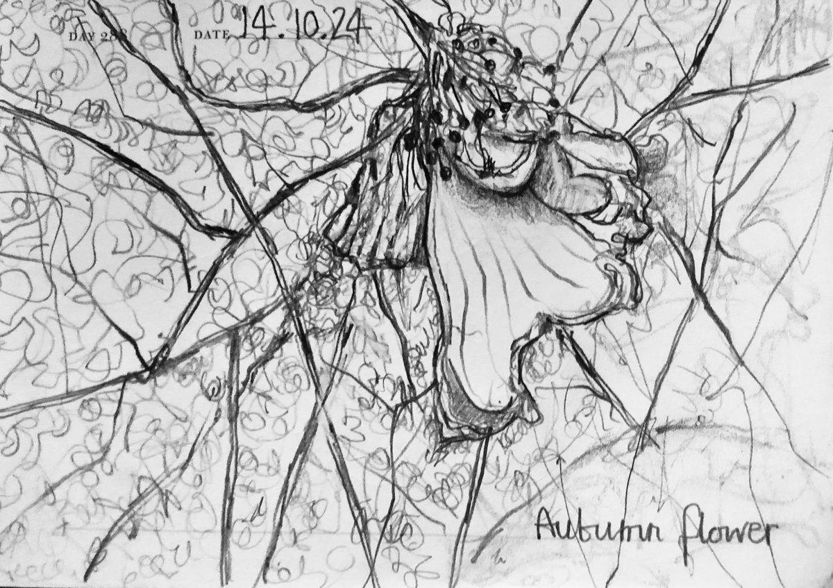 Venster67's tweet photo. One Sketch A Day 14.10.24
‘Autumn Flower’
#autumnflower #flowers #nature #onesketchaday #sketchbook #visualdiary #art #illustration #pencilsketch https://t.co/uGF6S3xWsf