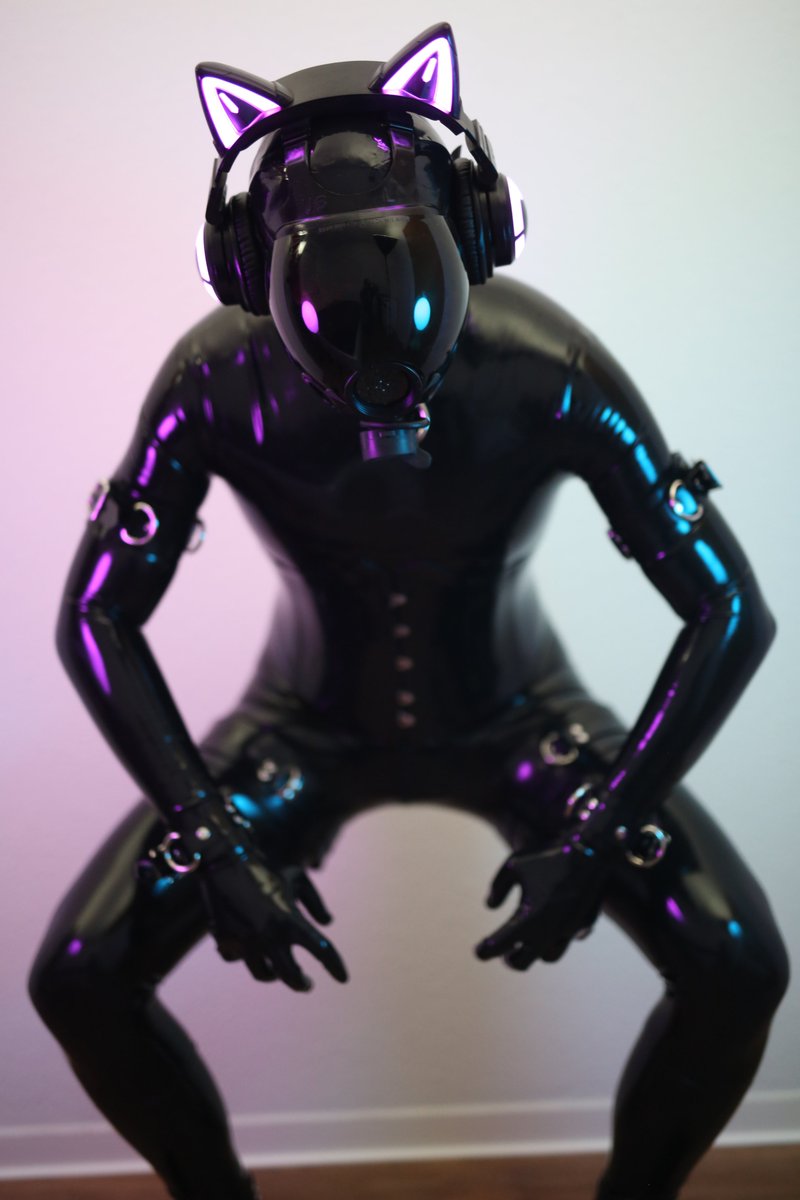 Haikatze tweet media