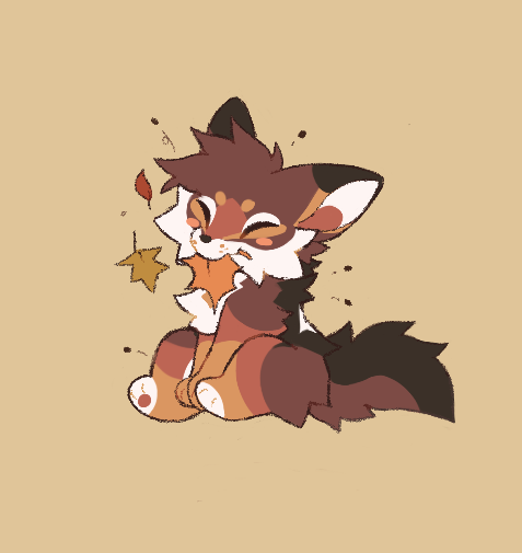 its finally fall 🍁🍁🍁