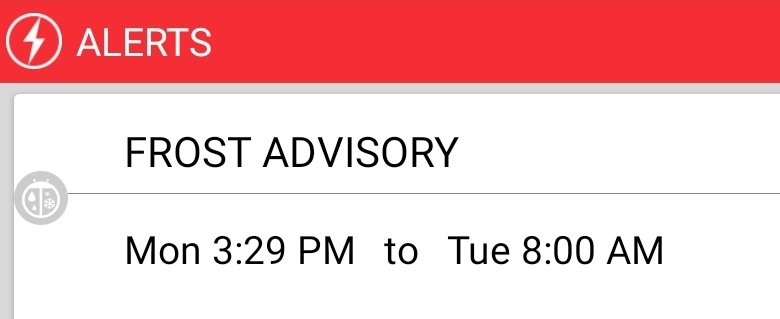 Thank goodness.  ❄️⛳️