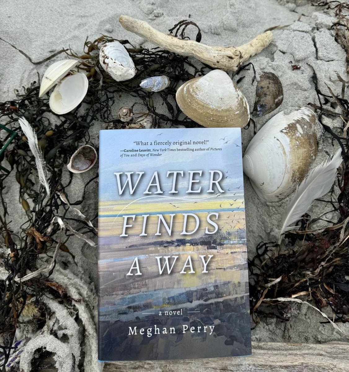 "A thoughtful stunner about where we find our place in the world—and our person." Brilliant review from @Leavittnovelist Pre-order Water Finds a Way by Meghan Perry