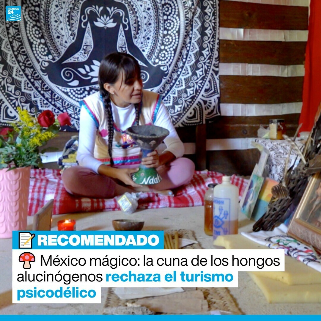 🍄 México mágico: la cuna de los hongos alucinógenos rechaza el #turismo psicodélico ➡️ f24.my/Af5x

Una historia de nuestra corresponsal Aurore Bayoud (<a href="/a_bayoud/">Aurore Bayoud</a>)