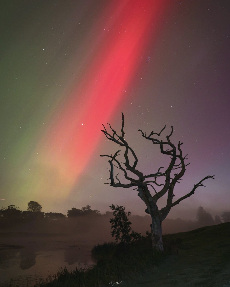 skinnypixels's tweet photo. The mist rolled in just in time for the Aurora to shimmer 💚🩷💜

10th October 2024 📸

Carton House 📍

Photographed using @canonuk R6 Mark 2 camera and @sigmaireland 150-600mm f/5-6.3 DG OS HSM lens 📸

https://t.co/CAGe8VOsFh https://t.co/7HECFEy6qV