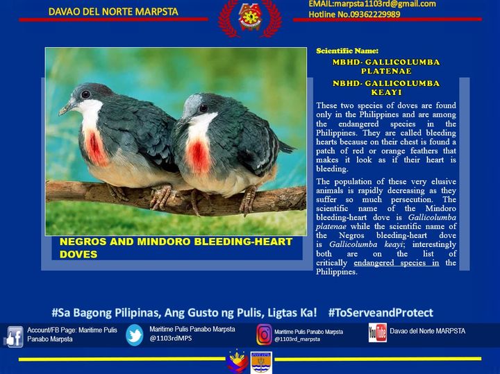 1103rdMPS's tweet photo. #SaBagongPilipinasAngGustongPulisLigtasKa
#BagongPilipinas
#ByLandAndSeaWeOvercome
#ToServeandProtect https://t.co/p1oqSqExpX