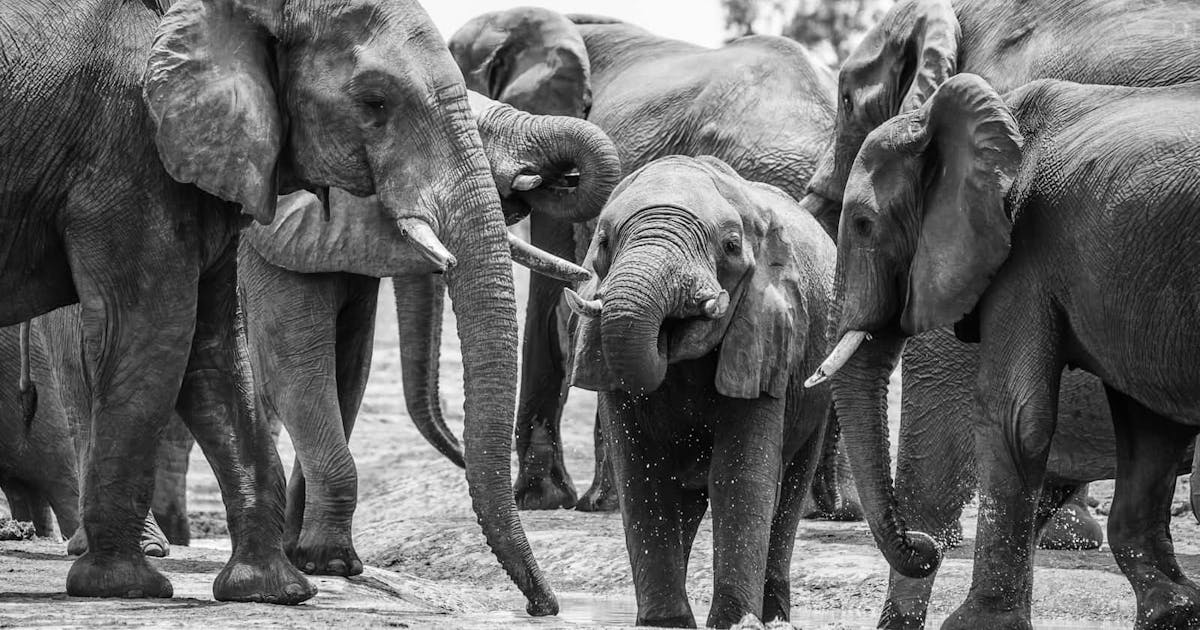 WebScaleDBA's tweet image. zurl.co/HxTW Setting Up TDE in PostgreSQL
#PostgreSQL #PostgreSQLDBA #PostgreSQLTips #SQL #SQLTips #DBA #OpenSource #Cloud #DevOps