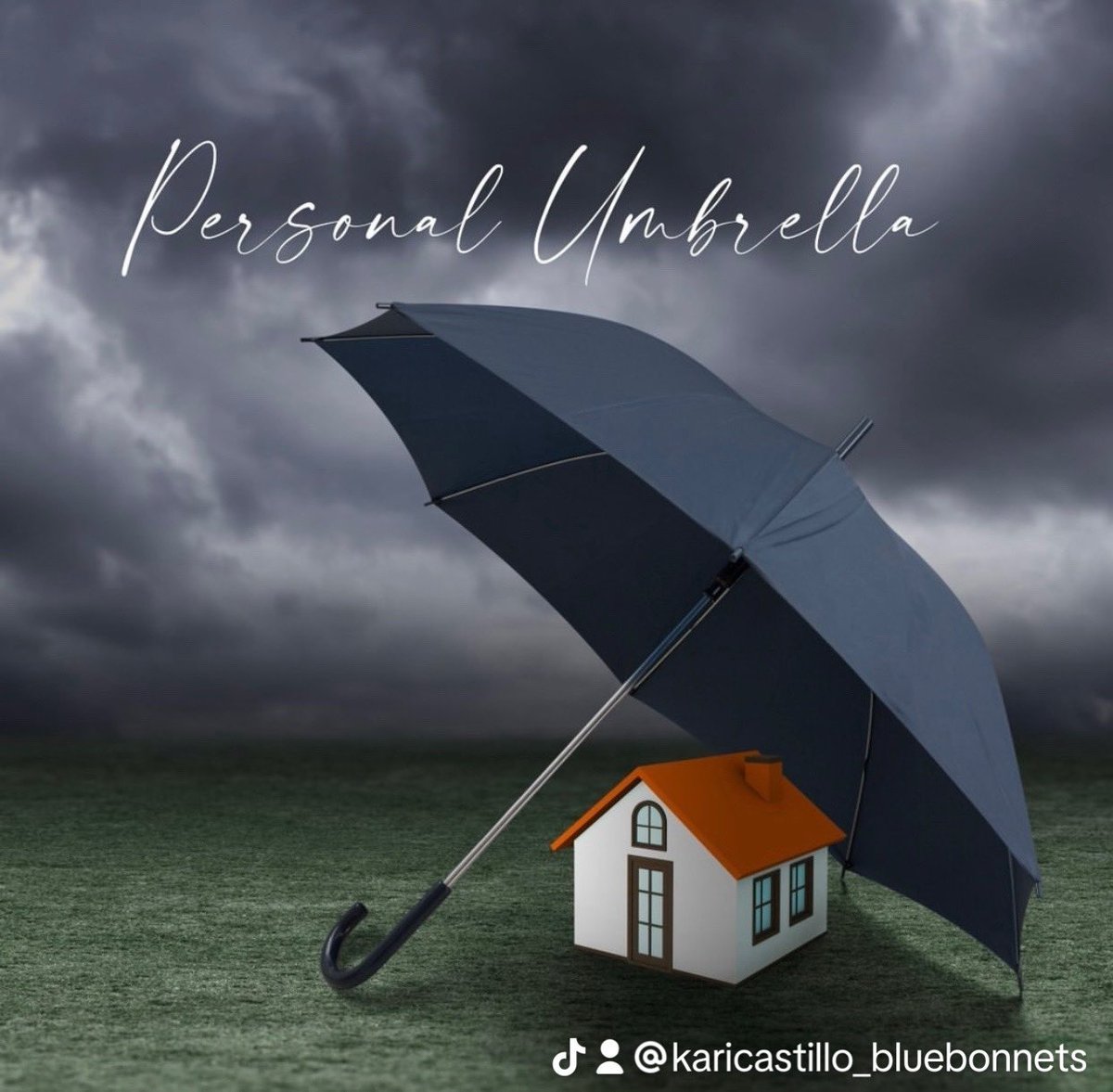 KariBluebonnets's tweet image. We’ve got you covered! 

Our team can help you with all your insurance needs!
Follow us on Instagram 
@karicastillo_bluebonnets for tips and advice!

 #InsuranceNeeds #BluebonnetsInsurance #Homelnsurance #Lifelnsurance #FloodInsurance #Autolnsurance 
 #texas #fyp