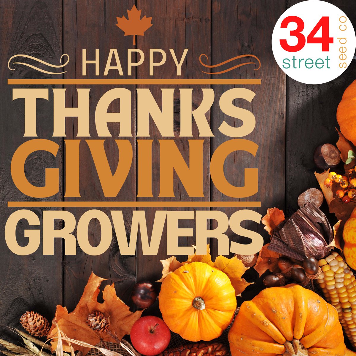 Happy Thanksgiving Growmies! It’s that time of year to give thanks and give seeds! What’s one of your favorite genetics you’ve grown out that’s been gifted to you?