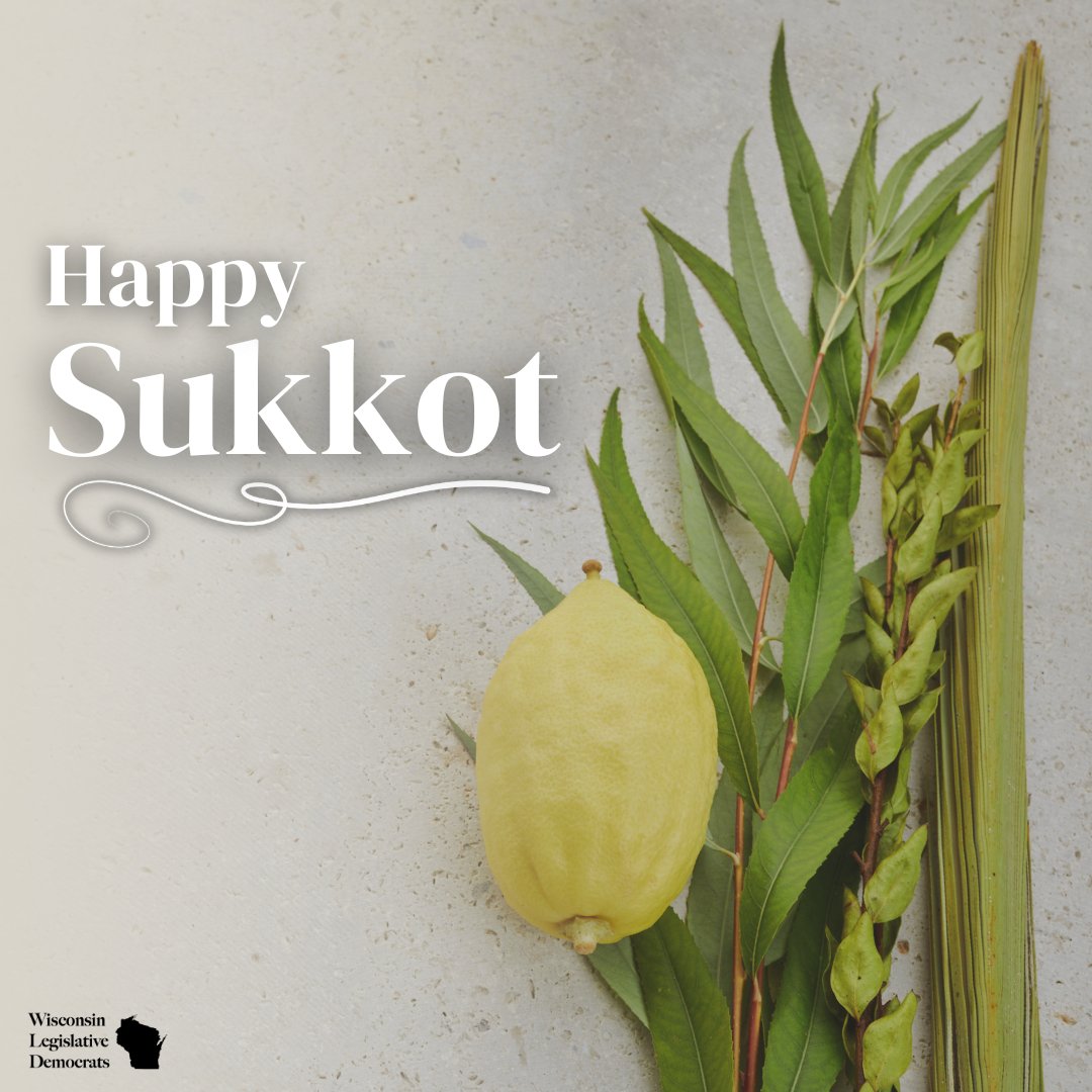 Rep Jenna Jacobson tweet media