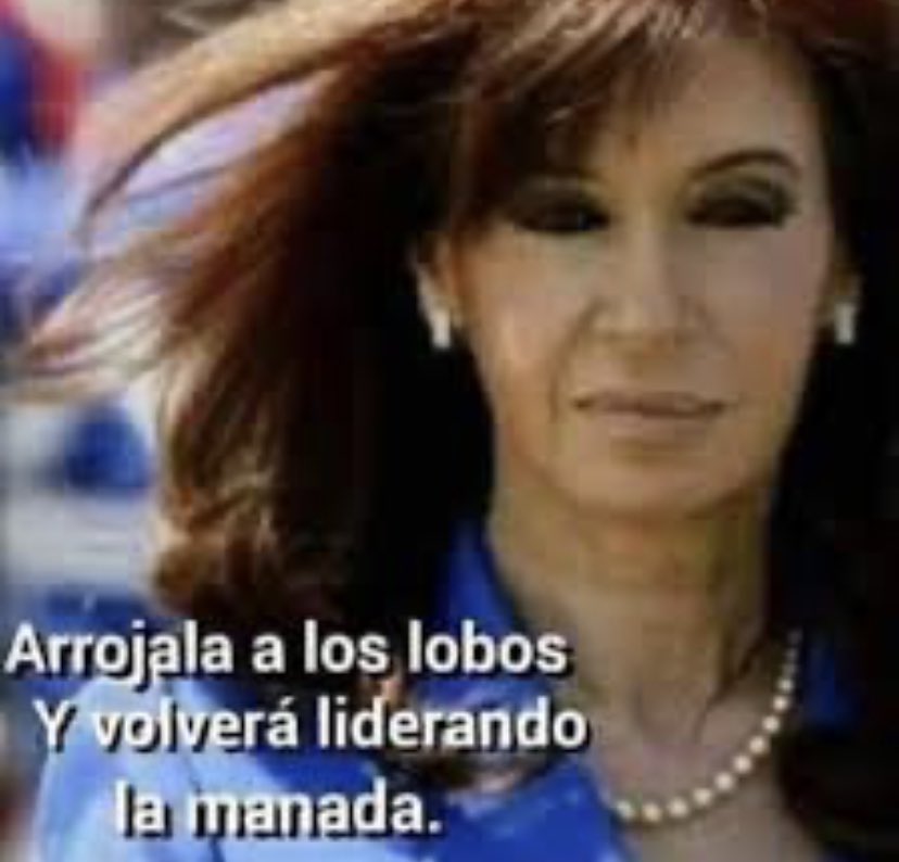 luujjant's tweet photo. me afilie al pj y en el mismo dia le firme el aval a cristina soy kuka al cuadrado https://t.co/2UM8B09yuH