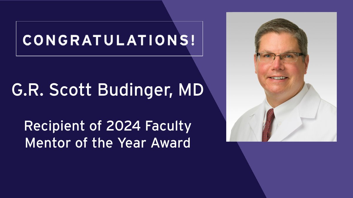 Northwestern University Feinberg School of Medicine’s Medical Faculty Council showcases Scott Budinger, MD, chief of Pulmonary and Critical Care and the Ernest S. Bazley Professor of Airway Diseases, as one of the recipients of the 2024 Mentor of the Year awards. Dr. Budinger