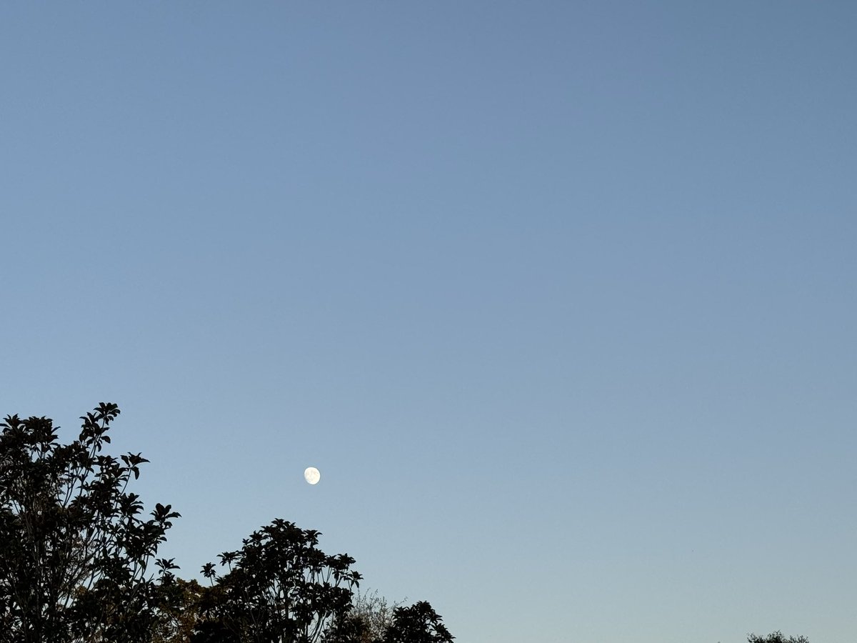 Kyle Pearson_WMS tweet media