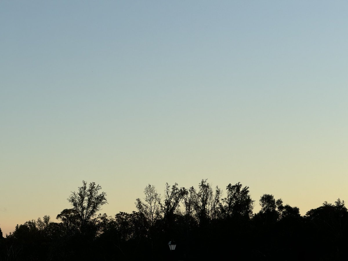 Kyle Pearson_WMS tweet media