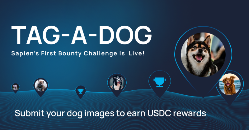 BuildOnSapien's tweet photo. Our first paid bounty closes in ~ 5 hours. Take a few snaps, earn $USDC—no experience or skills required. Just a 🐶

Sign up here for your last chance to participate!