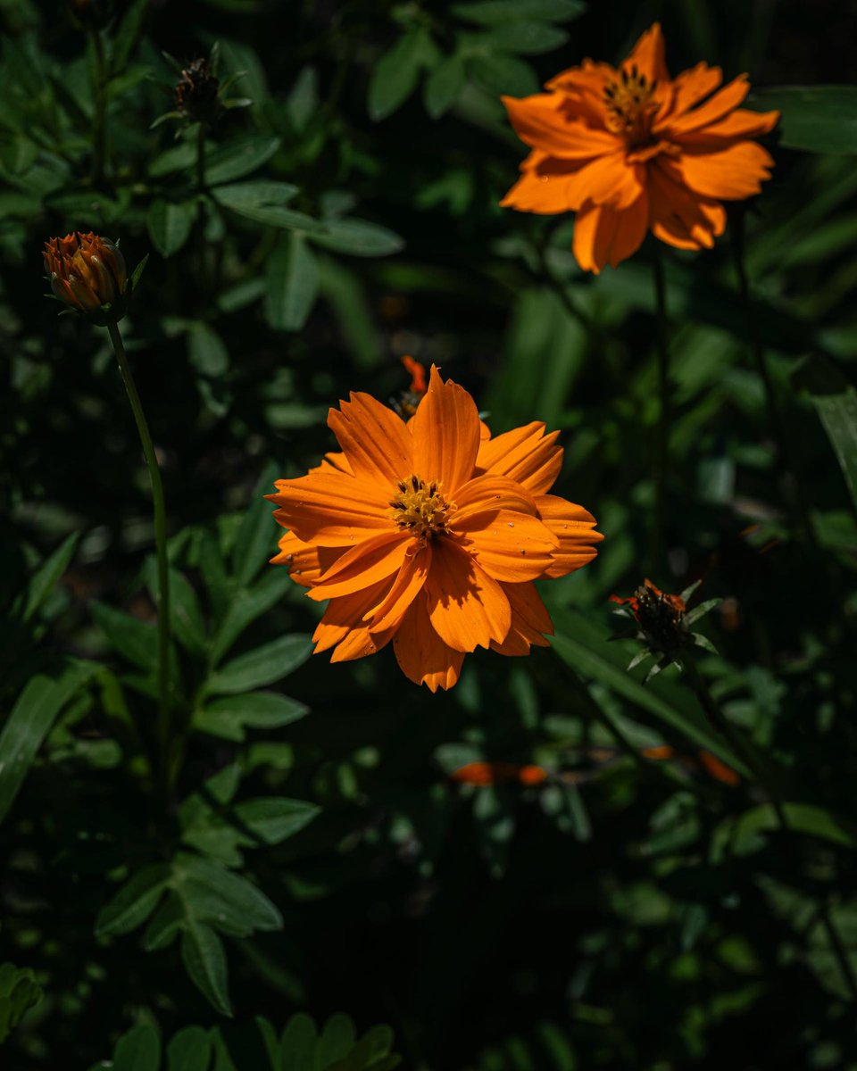 عندما نعطي الاهتمام، فإننا لا نخسر شيئًا، بل نكسب قلوبًا وعقولًا. الاهتمام هو استثمار في العلاقات، وهو مفتاح السعادة الحقيقية. فمن خلال الاهتمام بمن حولنا، نجد أنفسنا أكثر سعادة ورضا. الاهتمام هو لغة الحب الحقيقية، وهي اللغة التي تفهمها كل القلوب.🕊️

#صباح_آلخيــــر