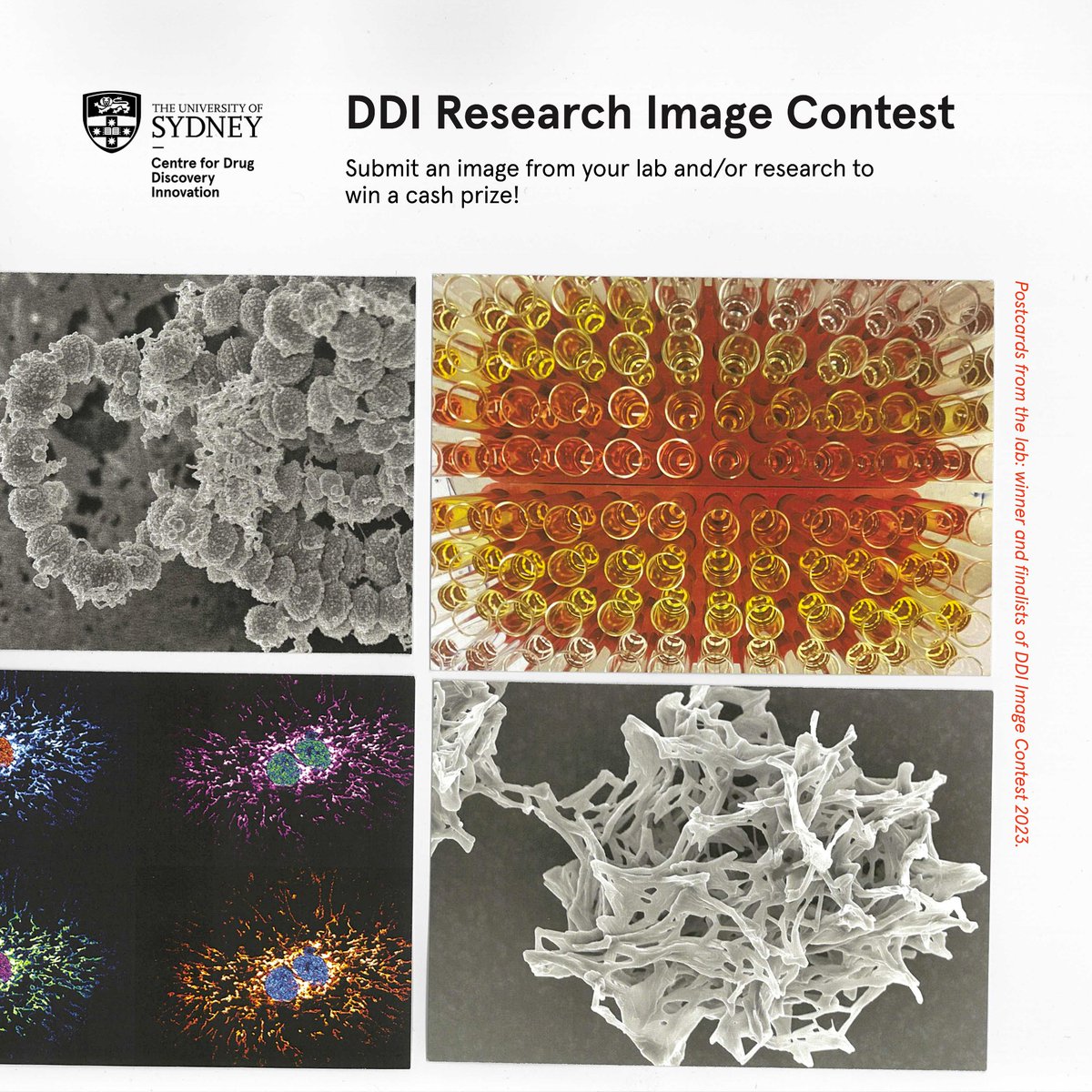 📸 The DDI Research Image Contest 2024 is on!

Submit an image you have captured in the course of your research and/or in the lab for a chance to win:
 
🏆 First prize: $500
🥈 Runner Up: $150
👥 People's Choice: $150
 
bit.ly/4eJJgXR