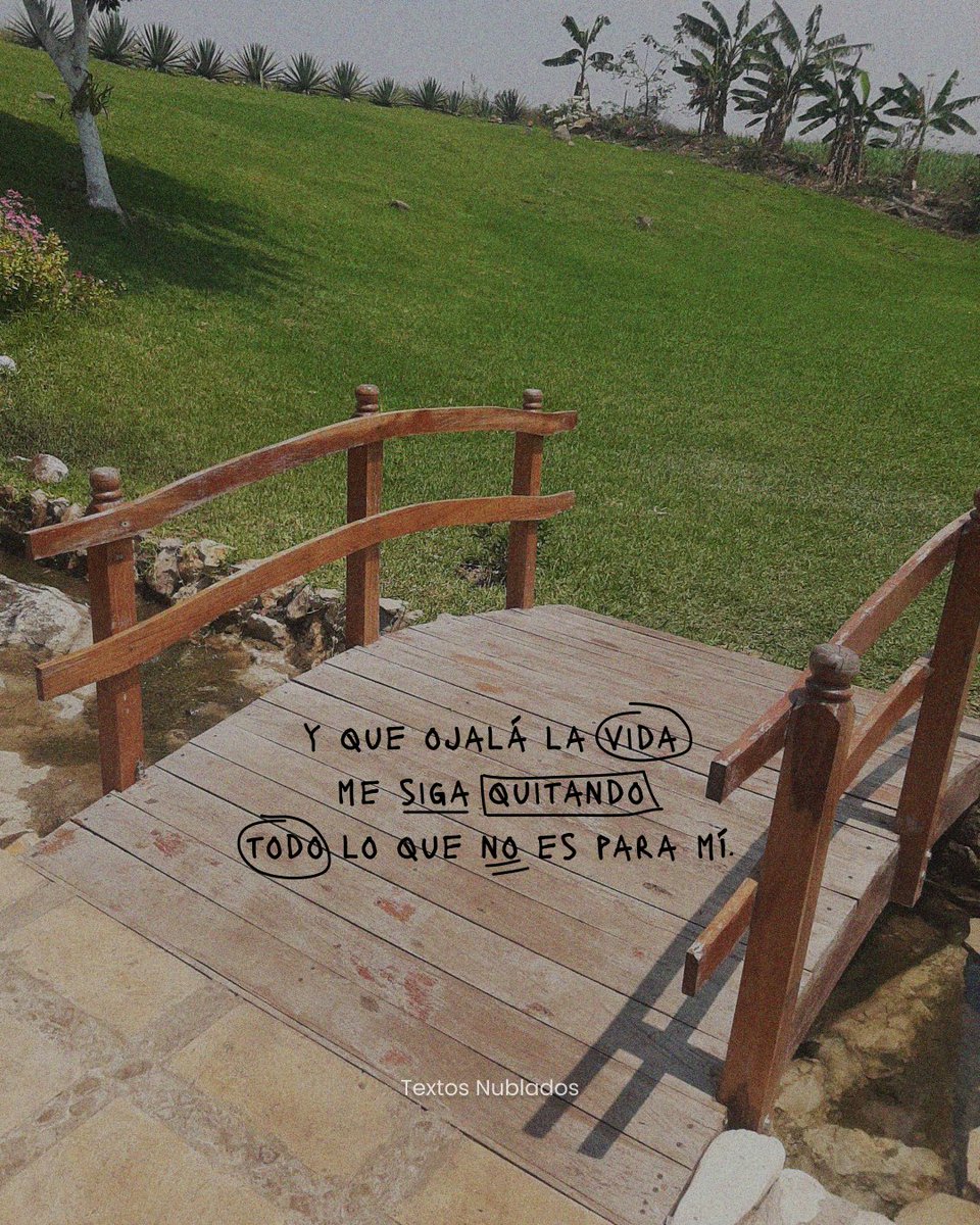 𝗧 𝗲 𝘅 𝘁 𝗼 𝘀 𝗡 𝘂 𝗯 𝗹 𝗮 𝗱 𝗼 𝘀 ☁️ (@textosnublados) on Twitter photo 
