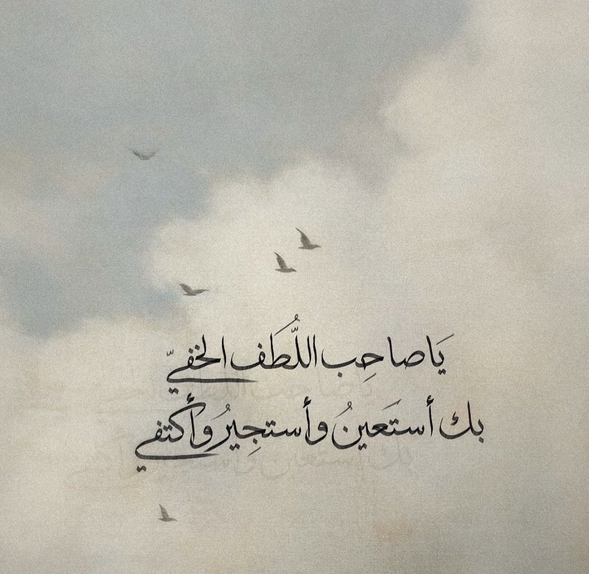 MashaeNaser's tweet photo. يارب 🤲 https://t.co/Xy5nJ4WDfN