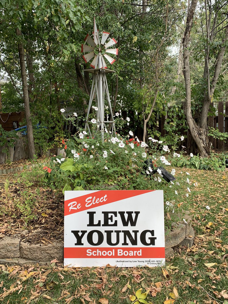 November 13.  Vote for. #citymj