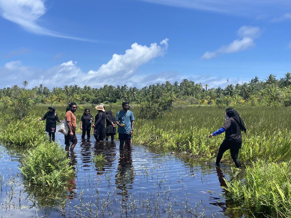 We also learned about the local ecosystem and the importance of protecting Fuvahmulah's flora and fauna through the <a href="/miyaru_org/">Miyaru Programme</a> 's Malamathi project, supported by <a href="/UNDPMaldives/">UNDP Maldives</a> <a href="/theGEF/">Global Environment Facility (GEF)</a> , and <a href="/GEF_SGP/">Small Grants Programme</a>
🧵3/6