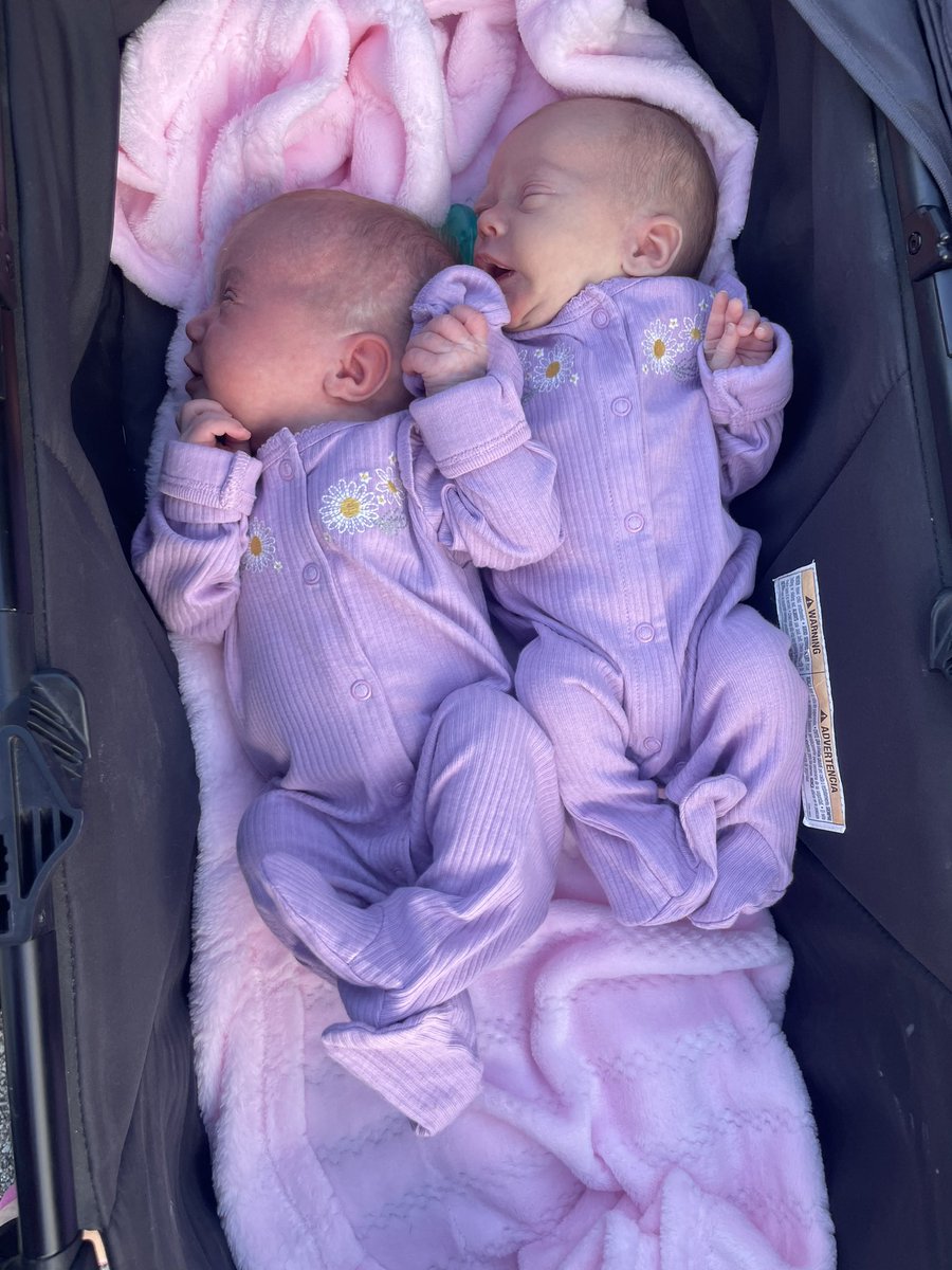 Bexs66's tweet photo. My sweet babies 🥰 https://t.co/fJhzp7LlSD