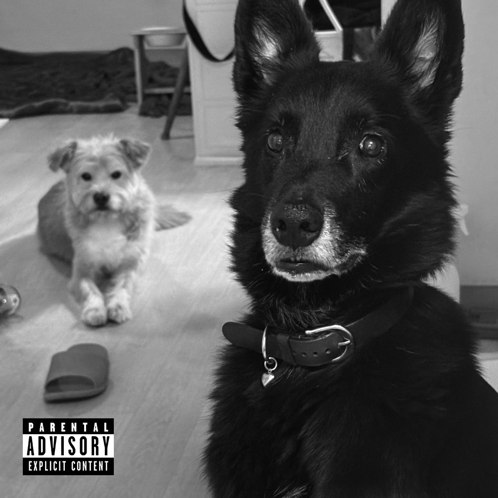 귀리와 올리 ㅎㅎ 친구가 앨범아트같다고 만들어줌