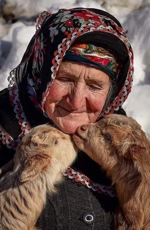 Sabine 🌟💛💫 tweet media