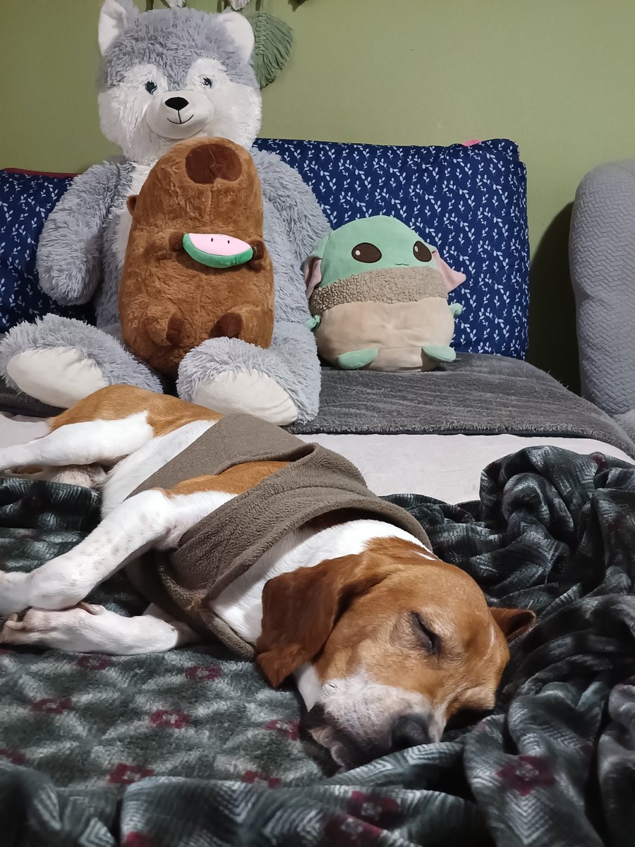 _andyOG's tweet image. Mi niño 😍