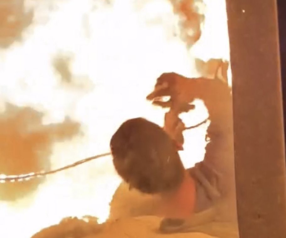 Alors que des internautes remettent en question l’authenticité des images montrant des personnes brûlées vives à Gaza, la Maison-Blanche ne laisse aucun doute quant à leur véracité.

« Les images et vidéos montrant ce qui semble être des civils déplacés brûlant vifs après une