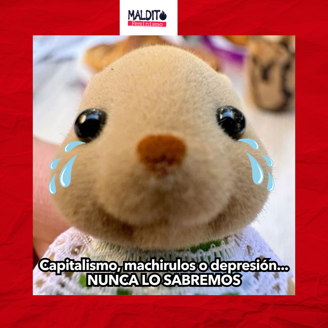 Maldito Feminismo tweet media