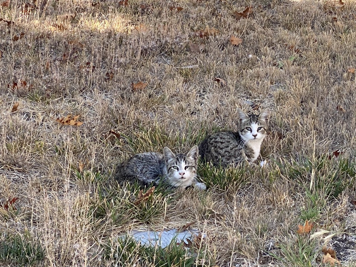 _back0FF's tweet image. bbs 🥺