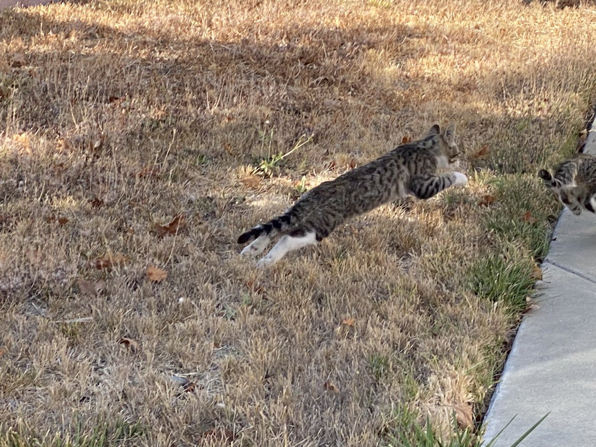 _back0FF's tweet image. bbs 🥺