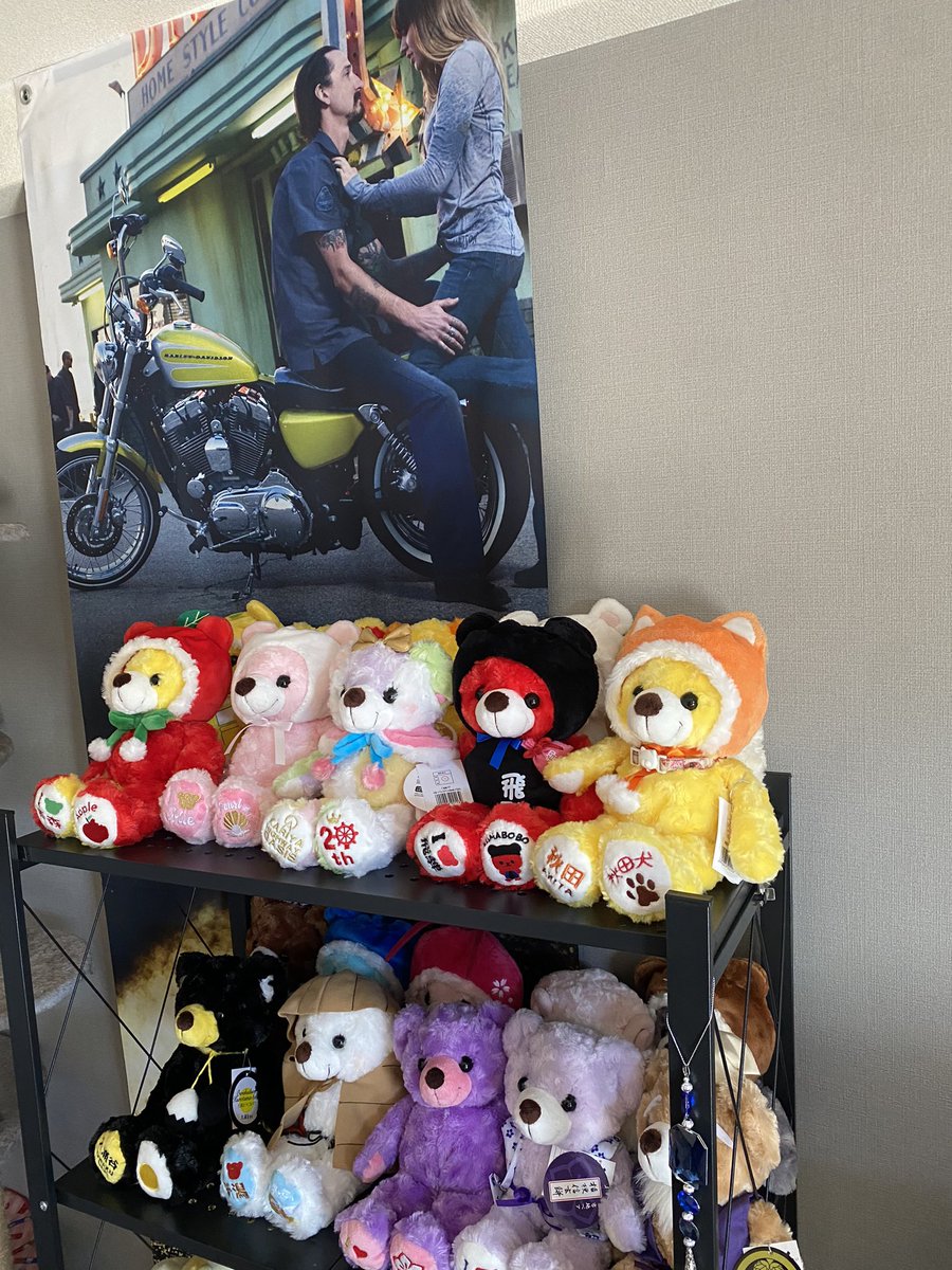 TOKYO_5485's tweet photo. おっさんがぬいぐるみ〜と思われるかもしれませんが触り心地いいしかわいいのですよ🥰今は23体？匹？くらいです💡
日によって配置変えしてます笑
フットワーク重めなのですが熊探しに行くとなると動けること判明したし熊が8年ぶりに会わせてくれた人もいるので熊最高❗️となってるのです😌 https://t.co/fmacNRydfe