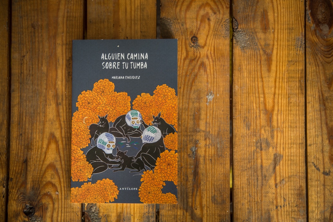 Ediciones Antílope tweet media