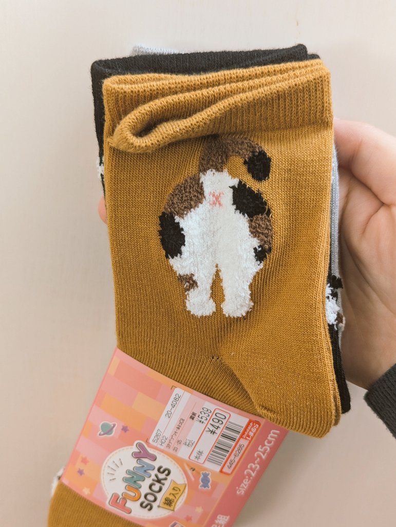 木天蓼 (@mata2bi) / Posts / X