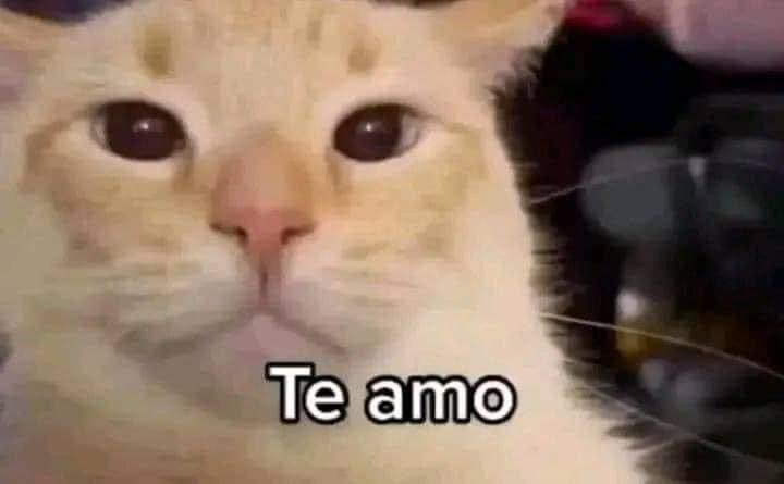 Yo después de discutir 4 hrs con mi novio: