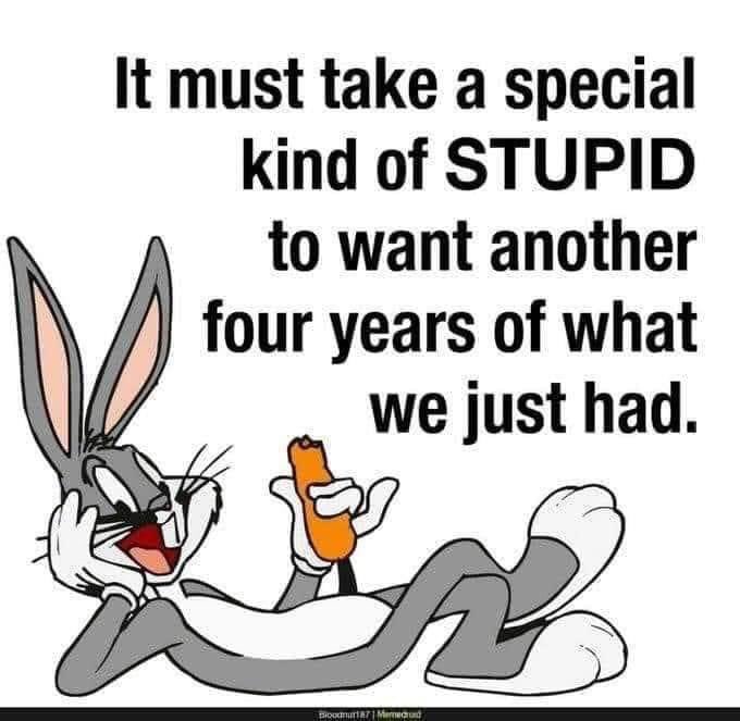 JannaPart2's tweet photo. @EndWokeness My Thanksgiving Turkey will have a #HigherIQ than this RETARD !!! 🤪 https://t.co/CvKHLk1sIo
