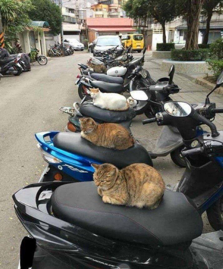 balajiraj1190's tweet photo. @PicturesFoIder Biker Gang Terrorizes Local Residents https://t.co/3Hmi1l1Pcx