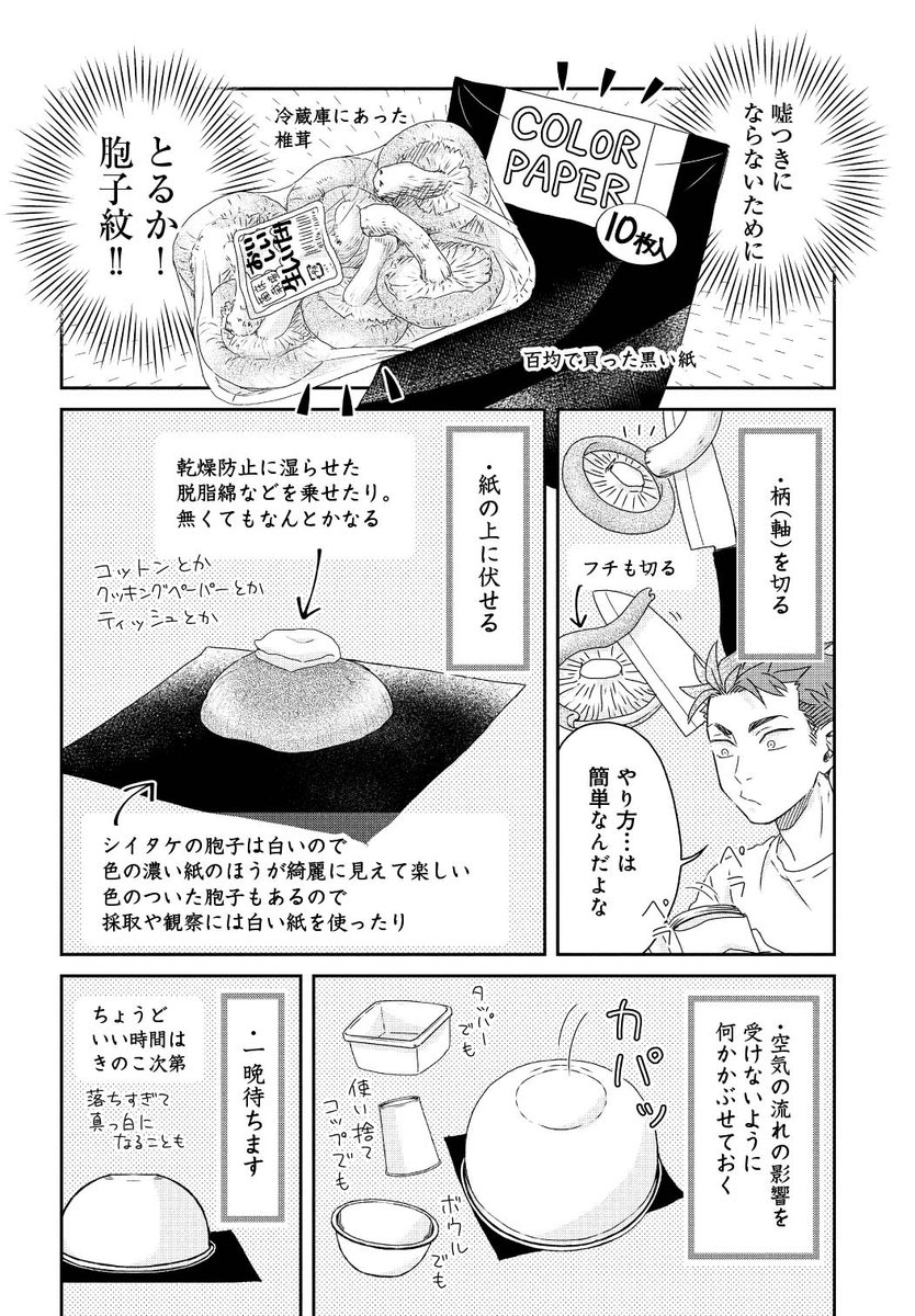 #きのこの日 なので、しいたけの胞子紋をとってみる漫画です。(再掲/単行本未収録)
胞子紋チャレンジ漫画1/2 