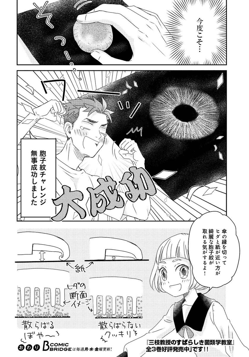 胞子紋チャレンジ漫画2/2 