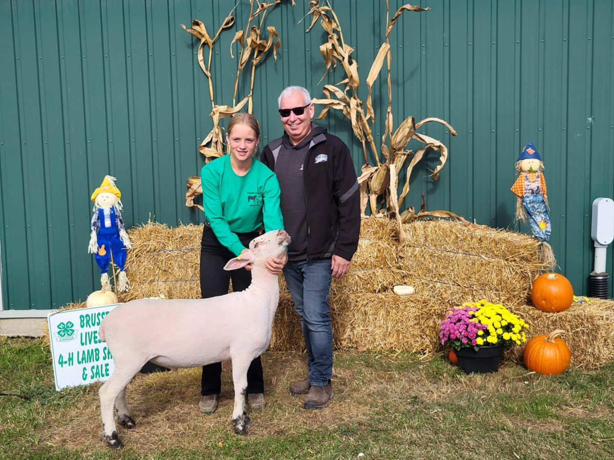 Successful weekend at the Brussels 4H Lamb show and sale. Special thanks to @RobertsFarmEq for purchasing her lamb and supporting youth in Agriculture.  This was something new for Hailey and she enjoyed every minute