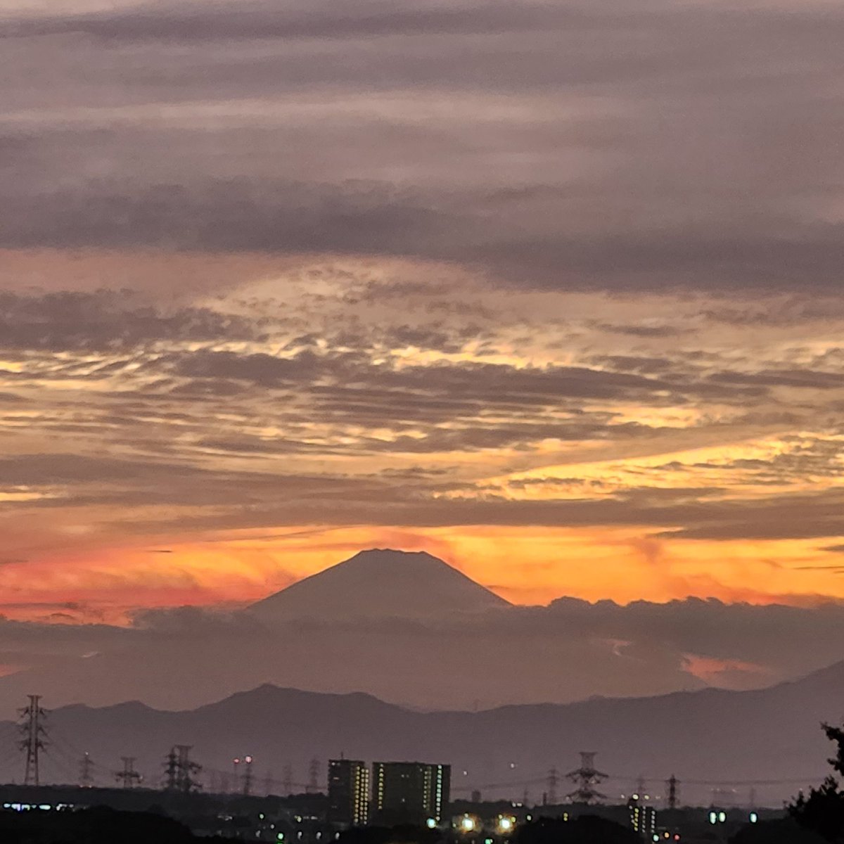 帰宅途中の風景。少し疲れ癒されます(^-^)