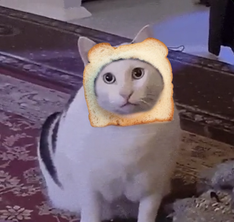 INBREDCATONSOL's tweet photo. In bread huh? 🍞🫵😹🍞 

$INBRED https://t.co/qhpBPiXFDQ