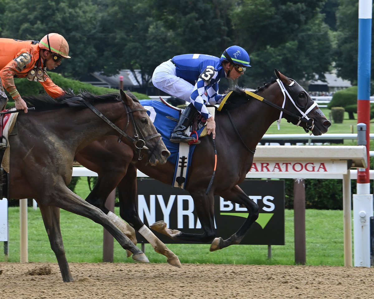 MattOwensTBs's tweet image. 🍀🚨Target Race🚨🍀

We are targeting Palmetto Fury  towards a stakes race in November. 

Be on the lookout for updates 😁

🍀Team Fury🍀

@spendthriftfarm  @FanDuel_Racing @TwinSpires  @theTDN @BloodHorse @paulickreport @FOXSports @Equibase #PalmettoFury #ByMitole #ThreeYearOld…
