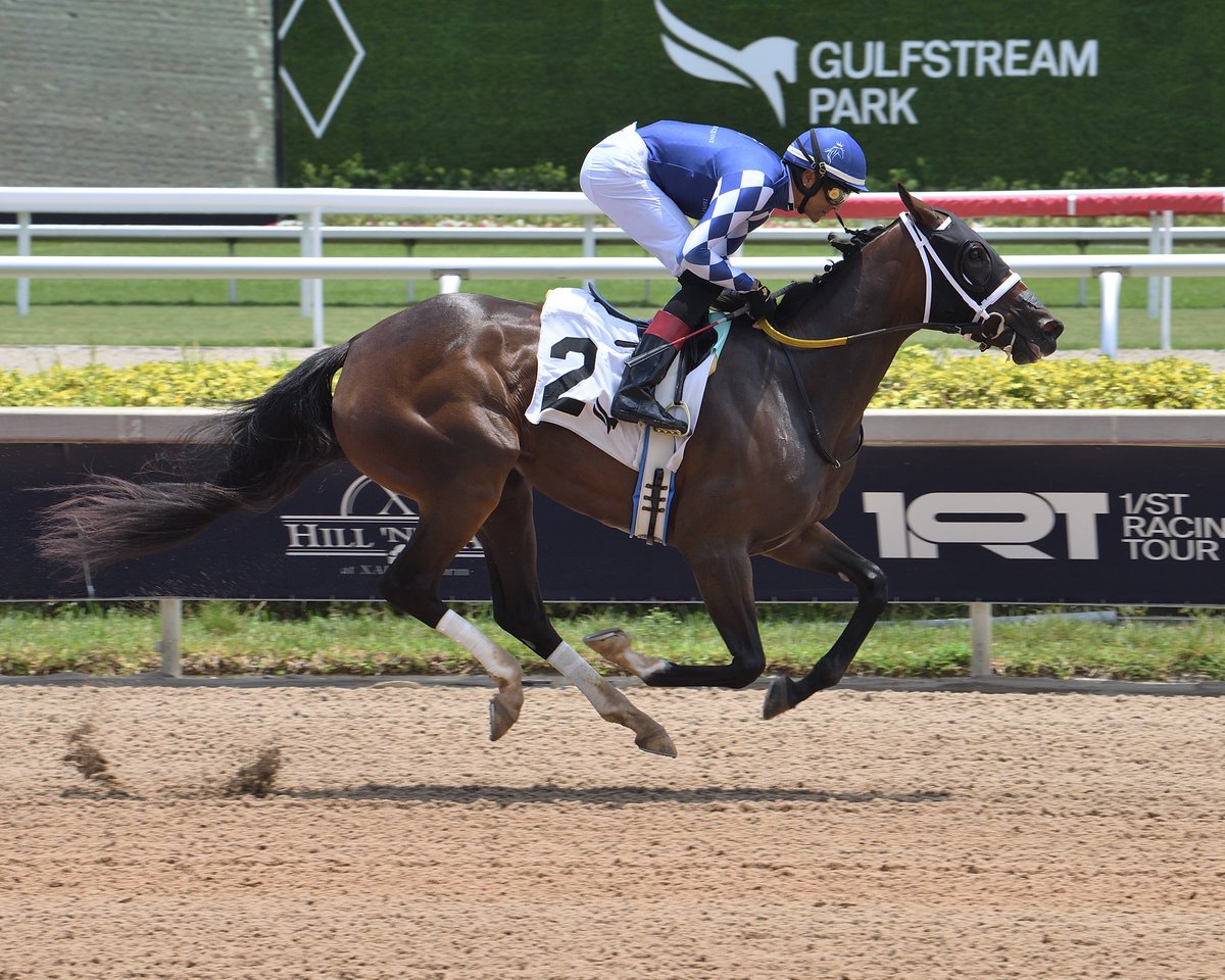 MattOwensTBs's tweet image. 🍀🚨Target Race🚨🍀

We are targeting Palmetto Fury  towards a stakes race in November. 

Be on the lookout for updates 😁

🍀Team Fury🍀

@spendthriftfarm  @FanDuel_Racing @TwinSpires  @theTDN @BloodHorse @paulickreport @FOXSports @Equibase #PalmettoFury #ByMitole #ThreeYearOld…