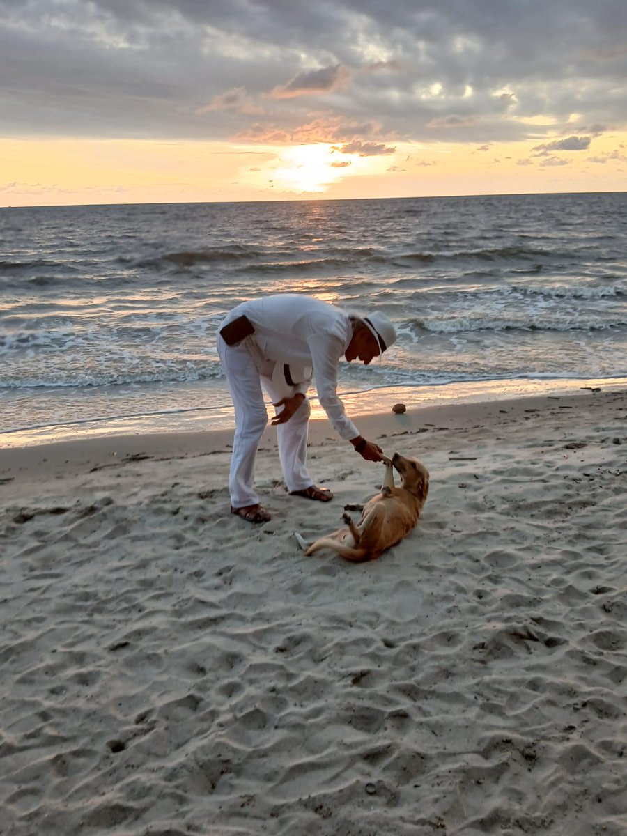 ajbarretom's tweet photo. @InformaCosmos Tolu Coveñas (Colombia) playa el Francés, hermoso atardecer https://t.co/EcDl2HYfHf