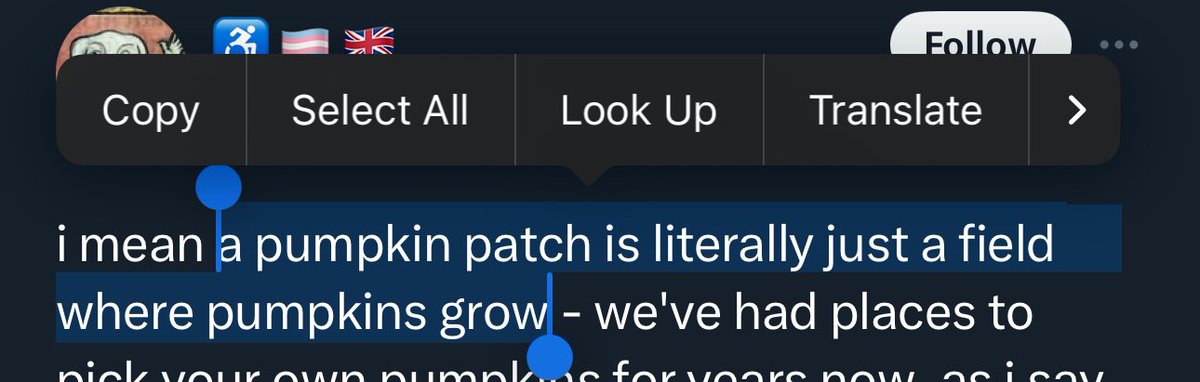 michell21142260's tweet photo. @femboytboy @HannahPosted Wild to say everyone is misreading when you said it was JUST a field where pumpkins grow.

Hint if “everyone is misreading” it’s more likely you wrote it wrong. https://t.co/sguFkVFcVf