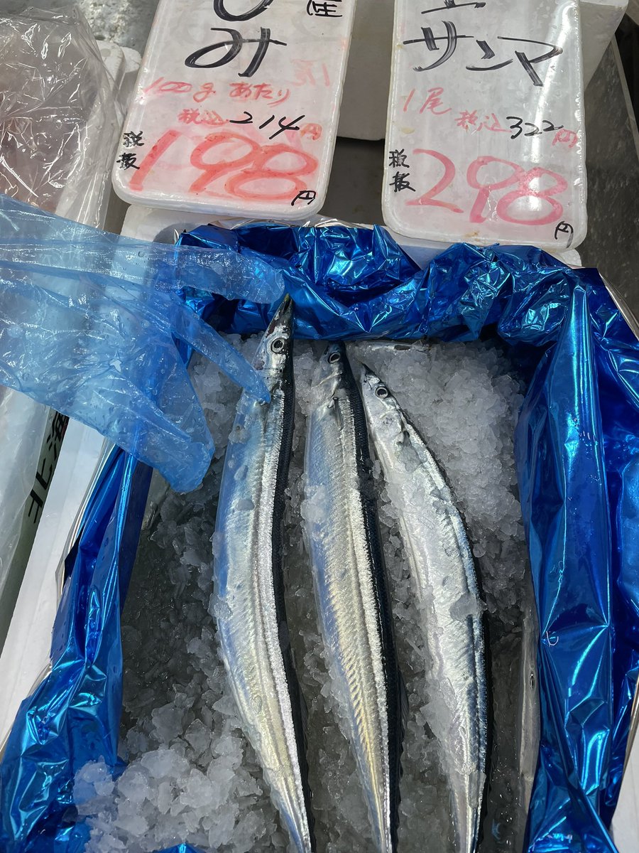 minashin219's tweet photo. 今日は特売初日です🫡
大人気甘塩紅鮭半身1200円✨
生秋鮭筋子大粒g950円✨
当別子g180円✨
ご飯🍚が止まらない🍚🍚🍚ww
生さんま大1尾298円🔥
なめろう、酒のアテセット、麻薬笑焼きカツオ君、鯵のたたきも😋
お待ちいたしております🫡 https://t.co/VVsV4vdBw0